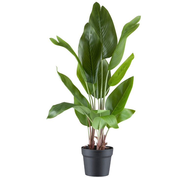 Strelitzia nicolai kunstplant 70 cm