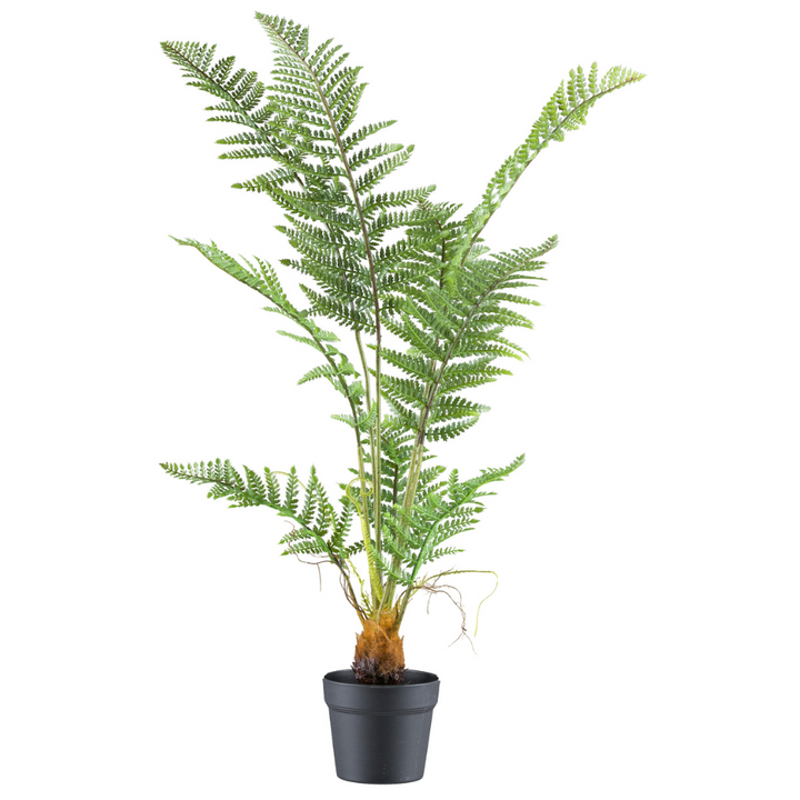 Pteris tremula varen kunstplant 100 cm