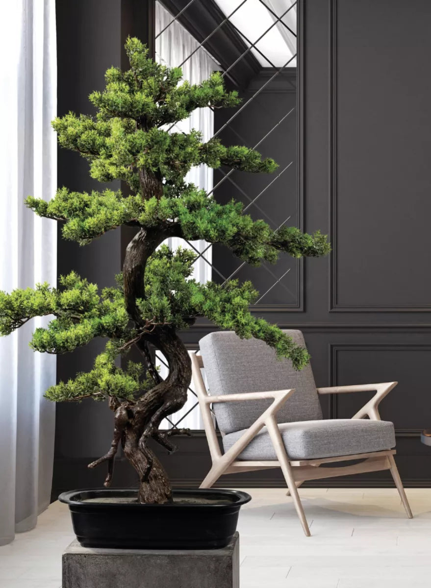 Flourify Bonsai