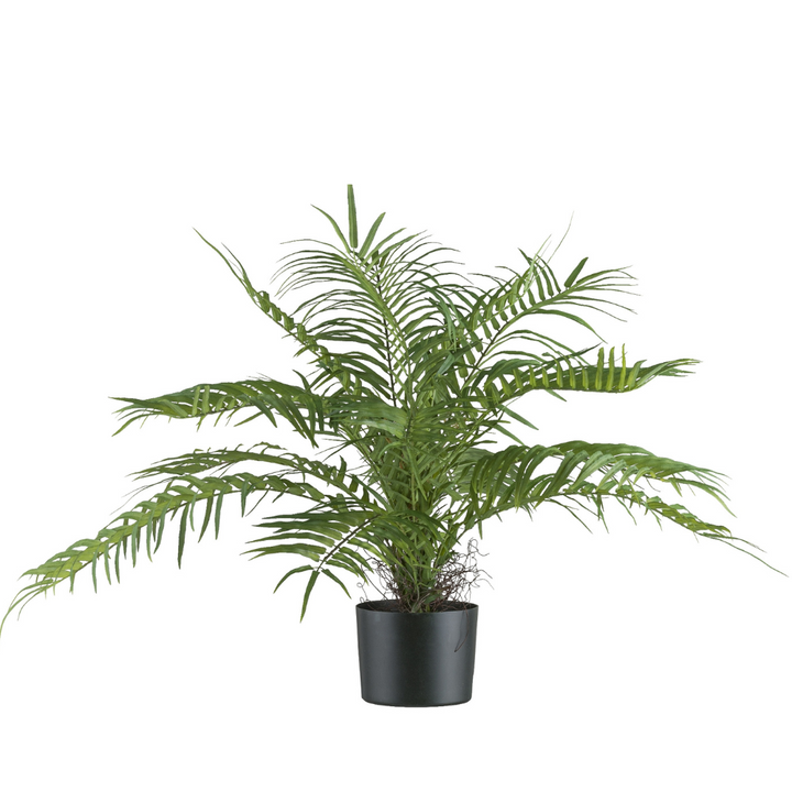Areca palmbos kunstplant 70 cm
