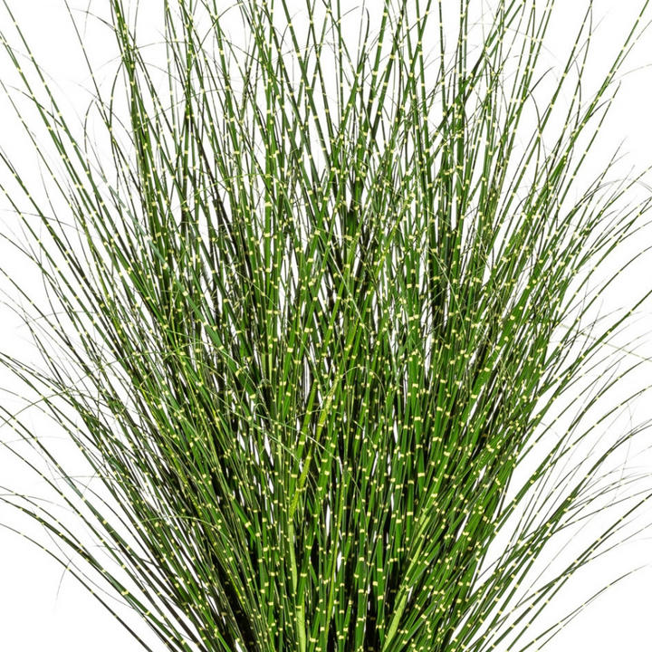 Miscanthus Zebrinus kunstplant 140 cm