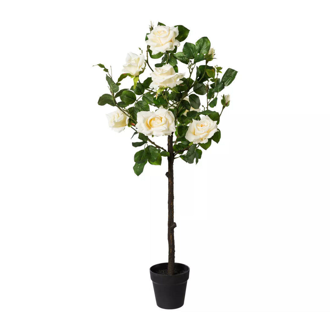 Flourify Rozenstam
